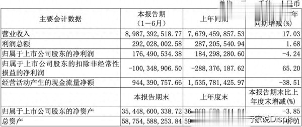 十大股票配资平台排名 营收同比增17.03%, 三安光电披露2025年半年报