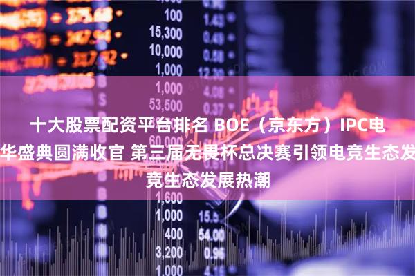 十大股票配资平台排名 BOE（京东方）IPC电竞嘉年华盛典圆满收官 第三届无畏杯总决赛引领电竞生态发展热潮